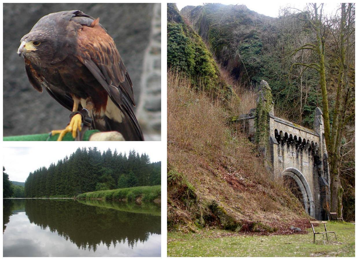 Golden Lion Bed & Breakfast Bouillon Eksteriør bilde